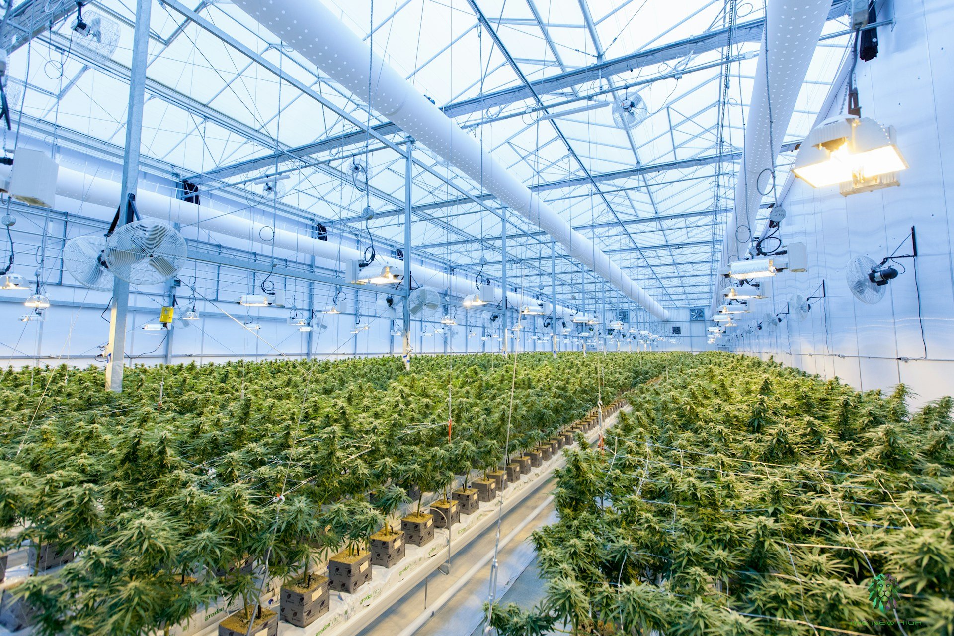 Cannabis Rescheduling to Schedule III What Has Changed and What Remains Unsettled